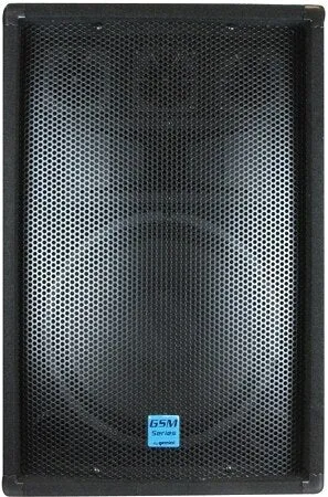 Gemini GSM-1260 12" Passive Full Range Speaker