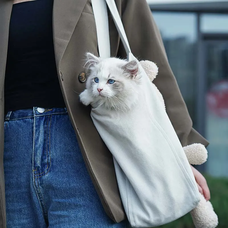 Portable Breathable Travel Designer Pet Carrier Bag